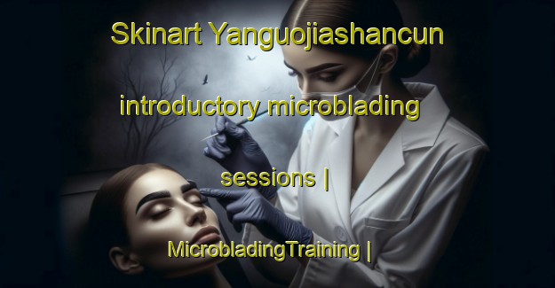 Skinart Yanguojiashancun introductory microblading sessions | MicrobladingTraining | MicrobladingClasses | SkinartTraining-China